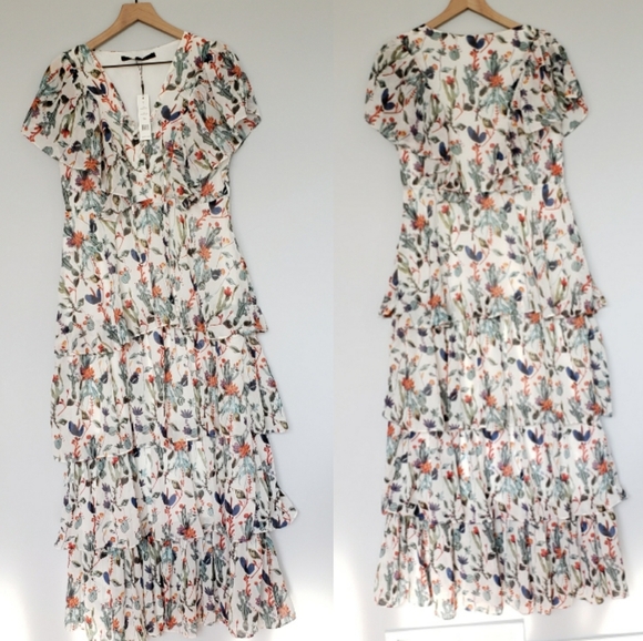 Walter Baker Cactus Bloom Sandra Dress Ruffle Maxi Size 10 - Picture 2 of 6